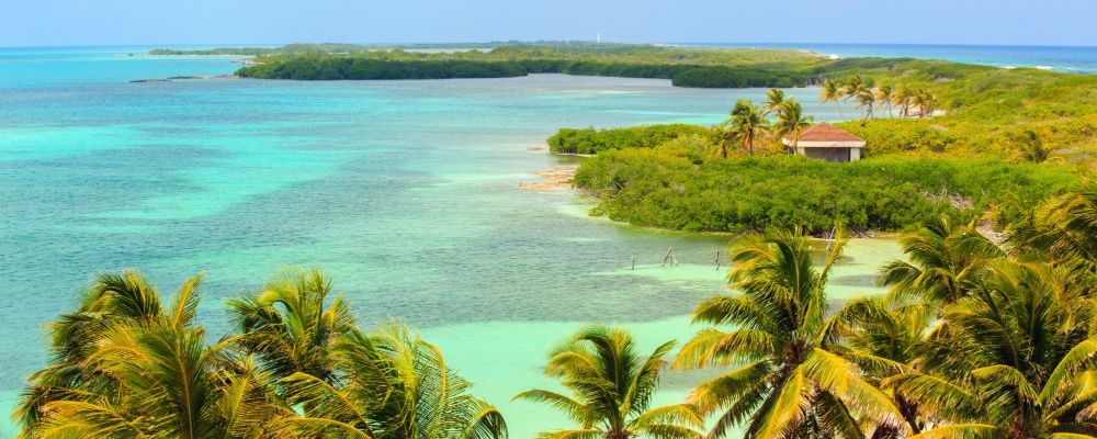 A beach and a jungle at Cancun