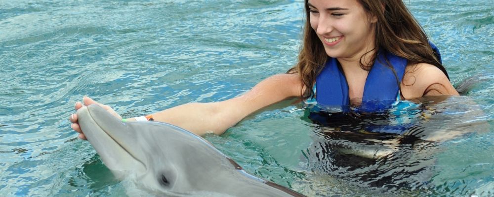 A woman swimming with a dolphin 