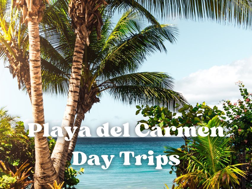 17 Best Day Trips from Playa del Carmen