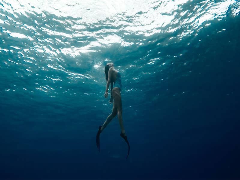 ¡Explora el Paraíso Submarino con los Tours de Snorkel en Cancún!