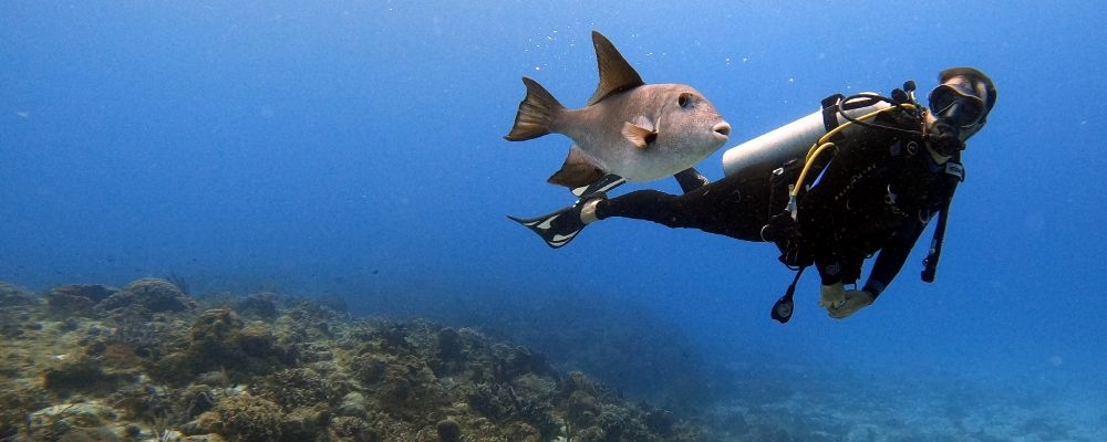 A diver on the sea with a fish besides him