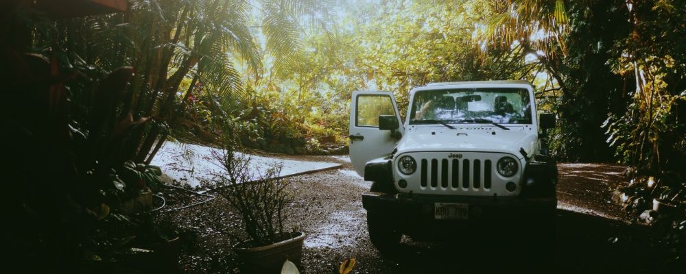 A jeep deep in the jungle