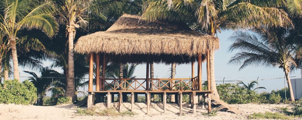 A bungalow surrounded by palm trees 