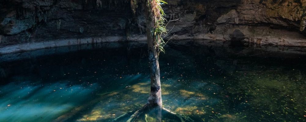 Semi Open Cenote