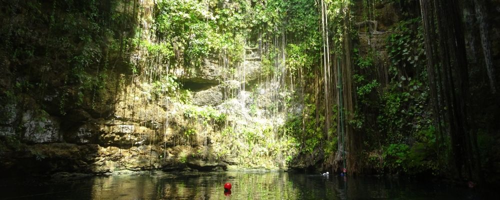cenotes playa del carmen