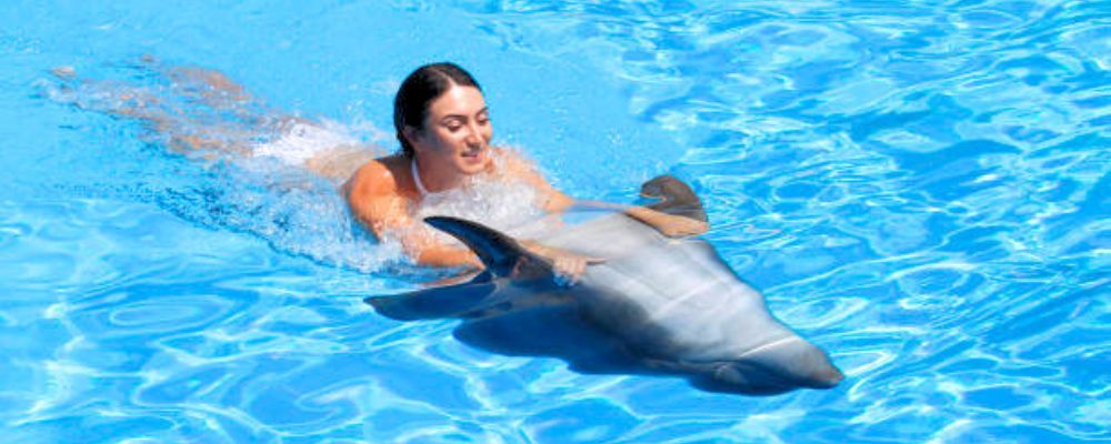 swim with dolphins Punta Cana