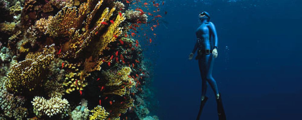 Scuba Diving Punta Cana