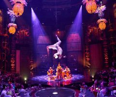 Cirque du Soleil Joya Riviera Maya