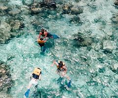 Snorkeling in Cancun