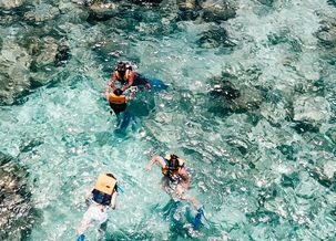 Imagen de Cancún Snorkel