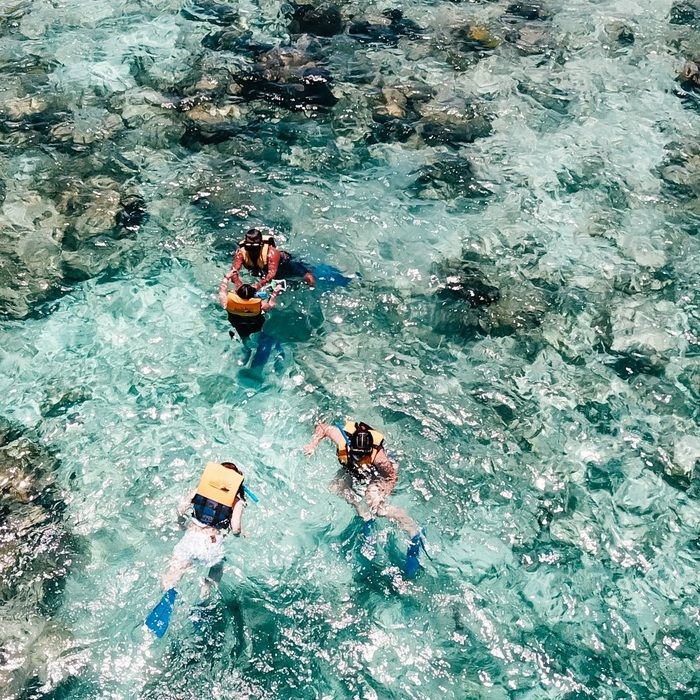 Snorkeling in Cancun