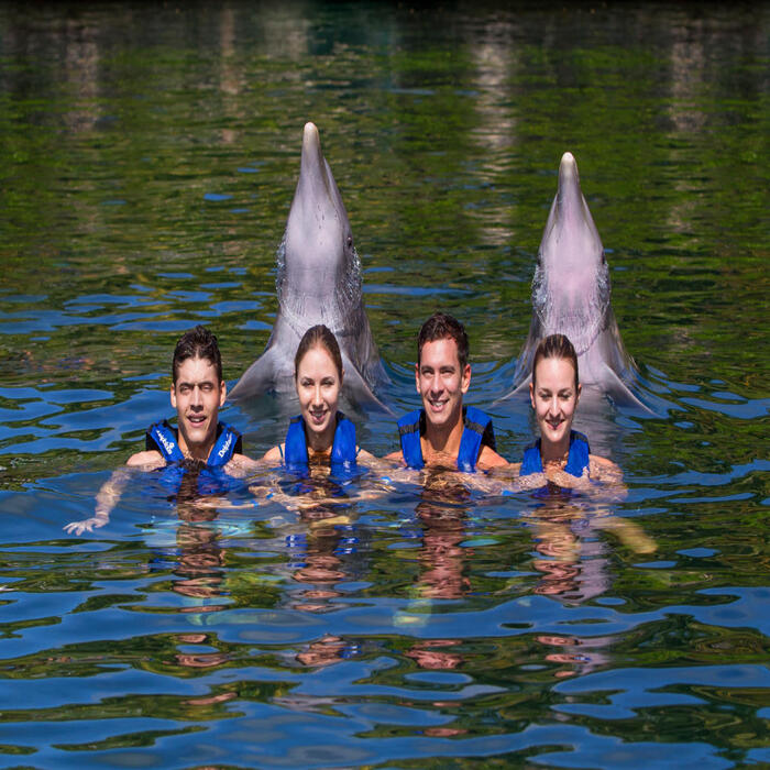 Delphinus Riviera Maya