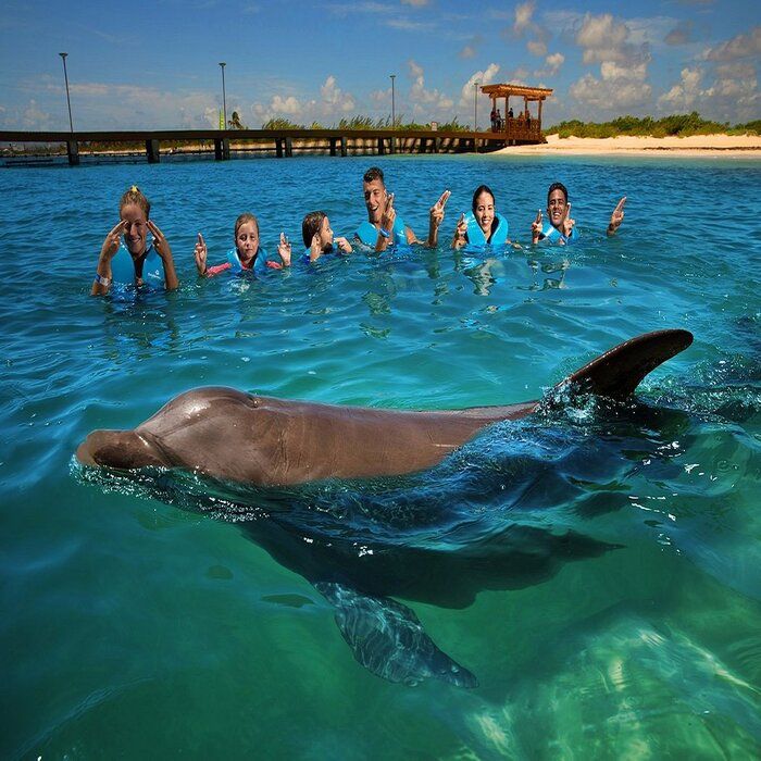 Delphinus Riviera Maya