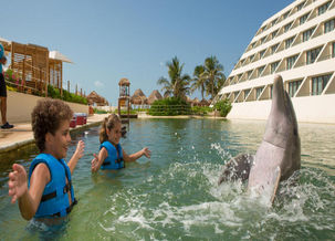 Image about Dolphinaris Cancun