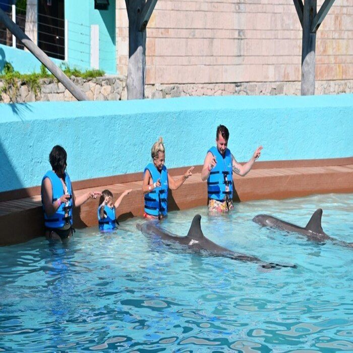 Swimming with dolphins in Cancun's top destination