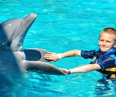 Nado con Delfines Cancún