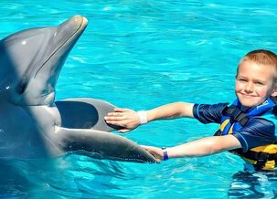 Image about Swim with Dolphins Cancun
