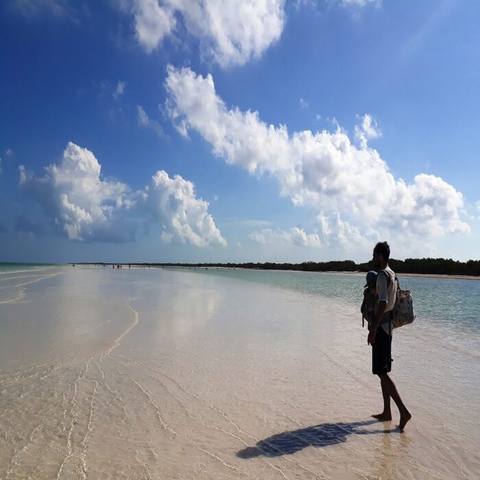 Holbox and Punta Mosquito Tour — photo 5
