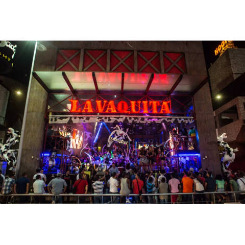 La Vaquita