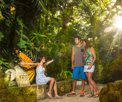 Xcaret Plus Ticket