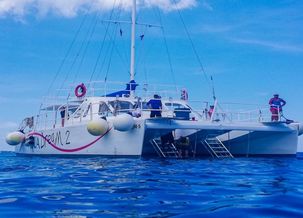 Imagen de Cozumel Snorkel en Catamarán y Club de Playa