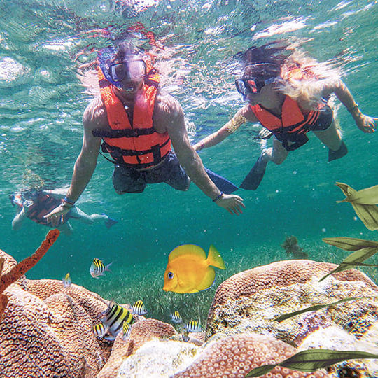 Cancún Snorkel