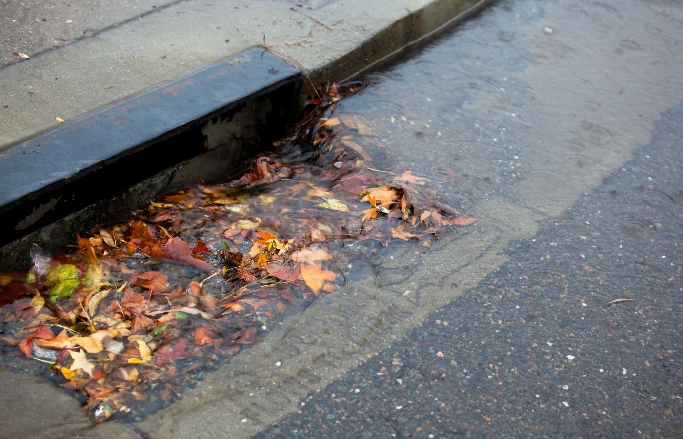 Storm Drain Cleaning