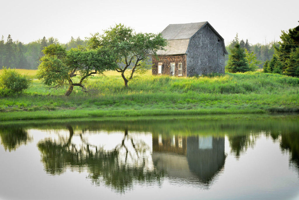 barn3 1024x684