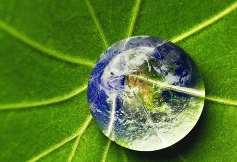 leaf globe droplet leaf globe droplet