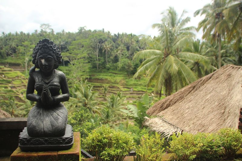 Ubud Cultural Serenity Traditional Bali - PART 2: THE SCENIC SHIFT - JOURNEY INTO THE HEARTLAND