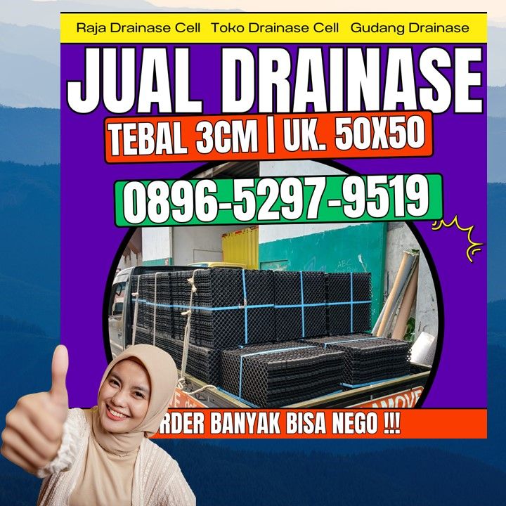 0896-5297-9519 (Bu Diana), Penjual Drainage Cell Aceh Tengah Rusip Antara