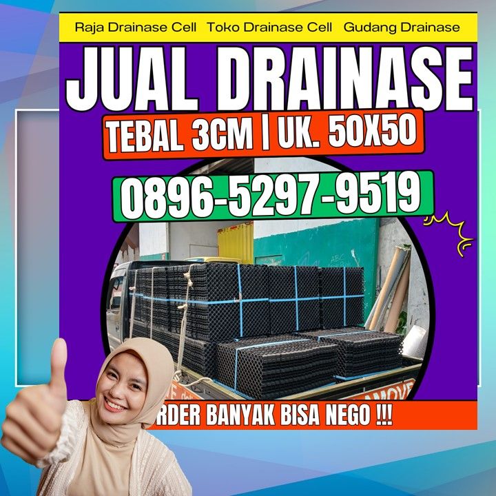 0896-5297-9519 (Bu Diana), Agen Drainage Cell Aceh Bener Meriah Bener Kelipah