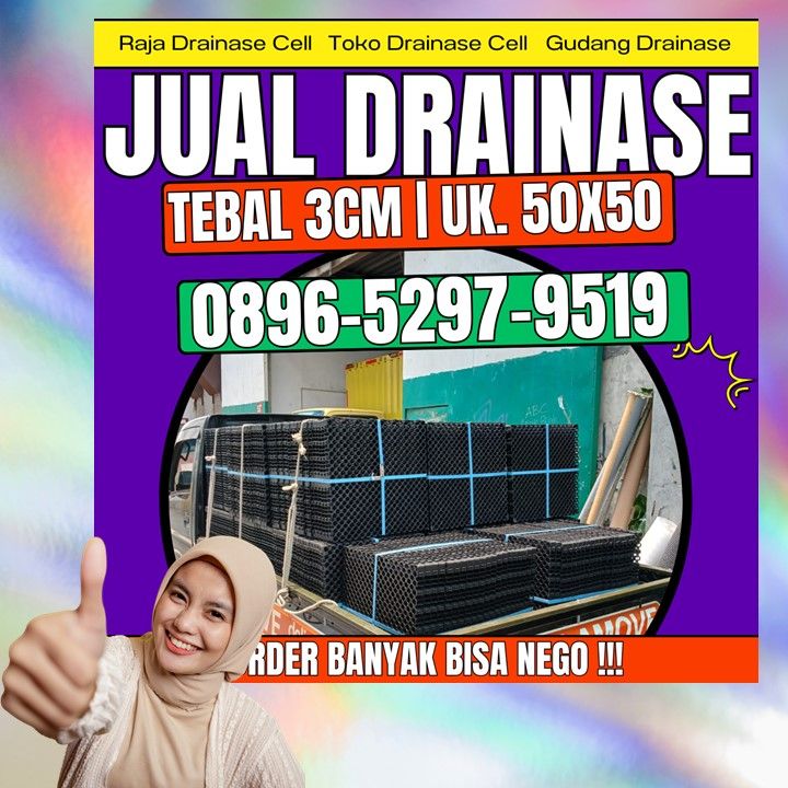 0896-5297-9519 (Bu Diana), Penjual Drainase Rumput Sintetis Aceh Pidie Glumpang Tiga