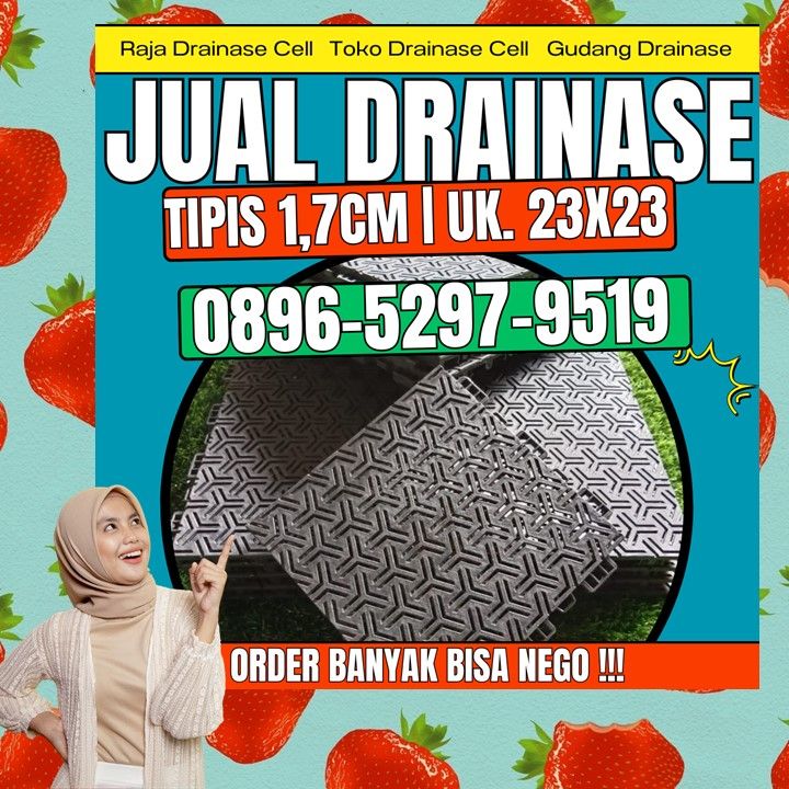 0896-5297-9519 (Bu Diana), Jual Drainage Cell Bengkulu Lubuk Pinang