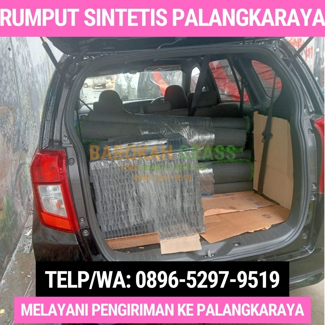 0896-5297-9519 (Bu Diana), Toko Rumput Sintetis Bisa Kirim Palangka Raya Pulau Petak