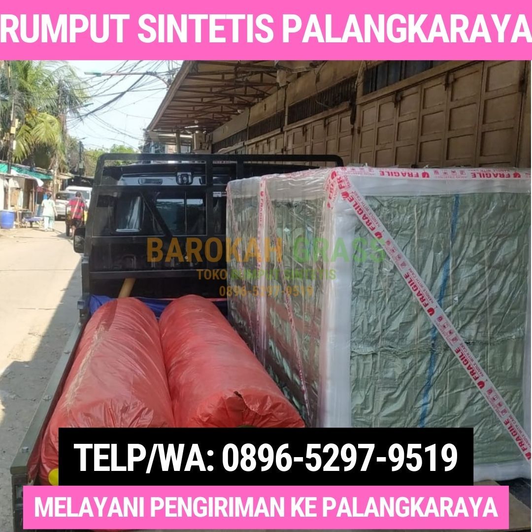 0896-5297-9519 (Bu Diana), Supplier Karpet Rumput Melayani Palangka Raya Selat