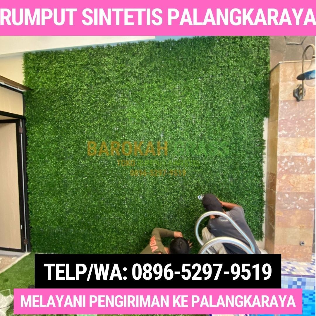 0896-5297-9519 (Bu Diana), Penjual Rumput Sintetis Bisa Kirim Palangka Raya Teluk Sampit