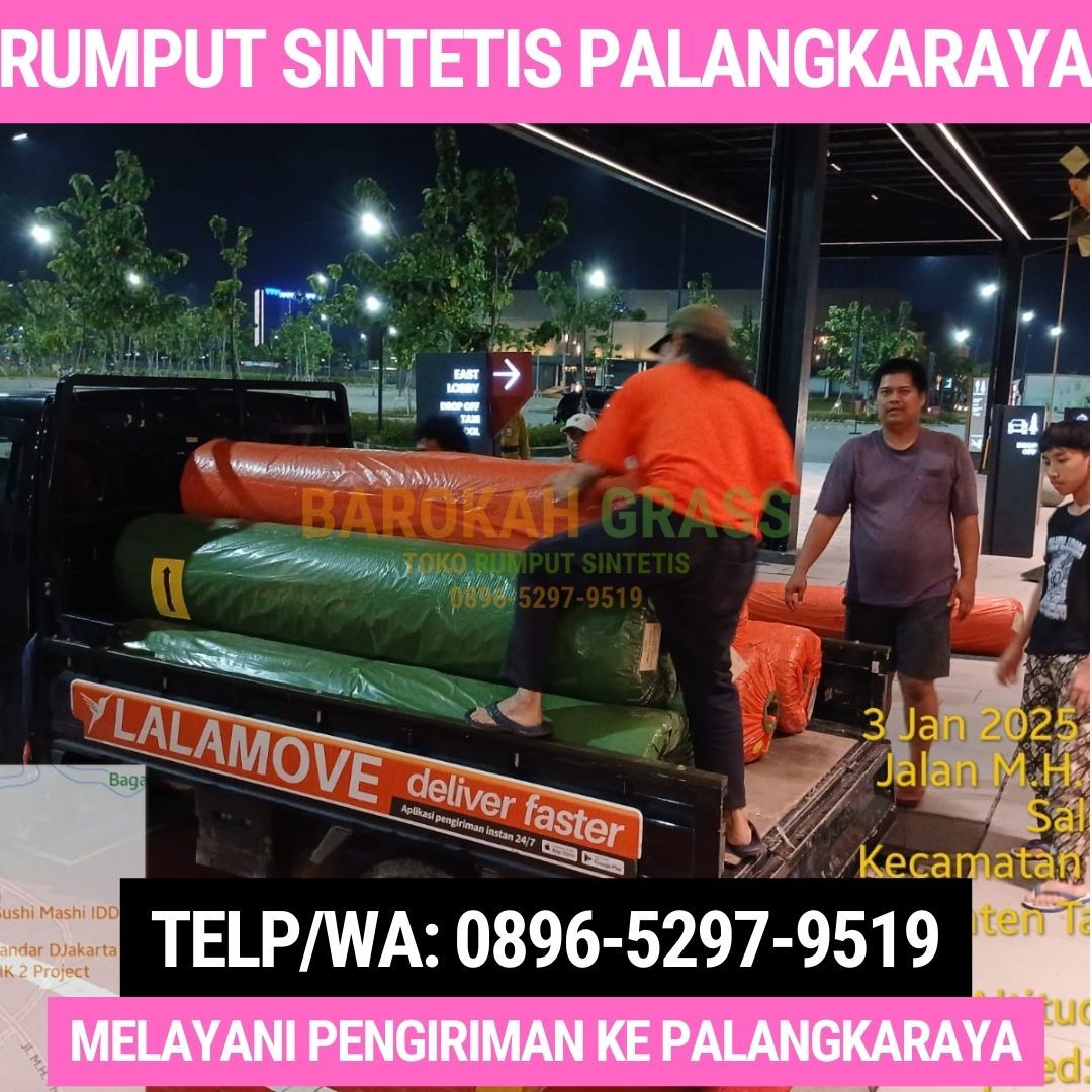 0896-5297-9519 (Bu Diana), Penjual Karpet Rumput Melayani Palangka Raya Jabiren Raya