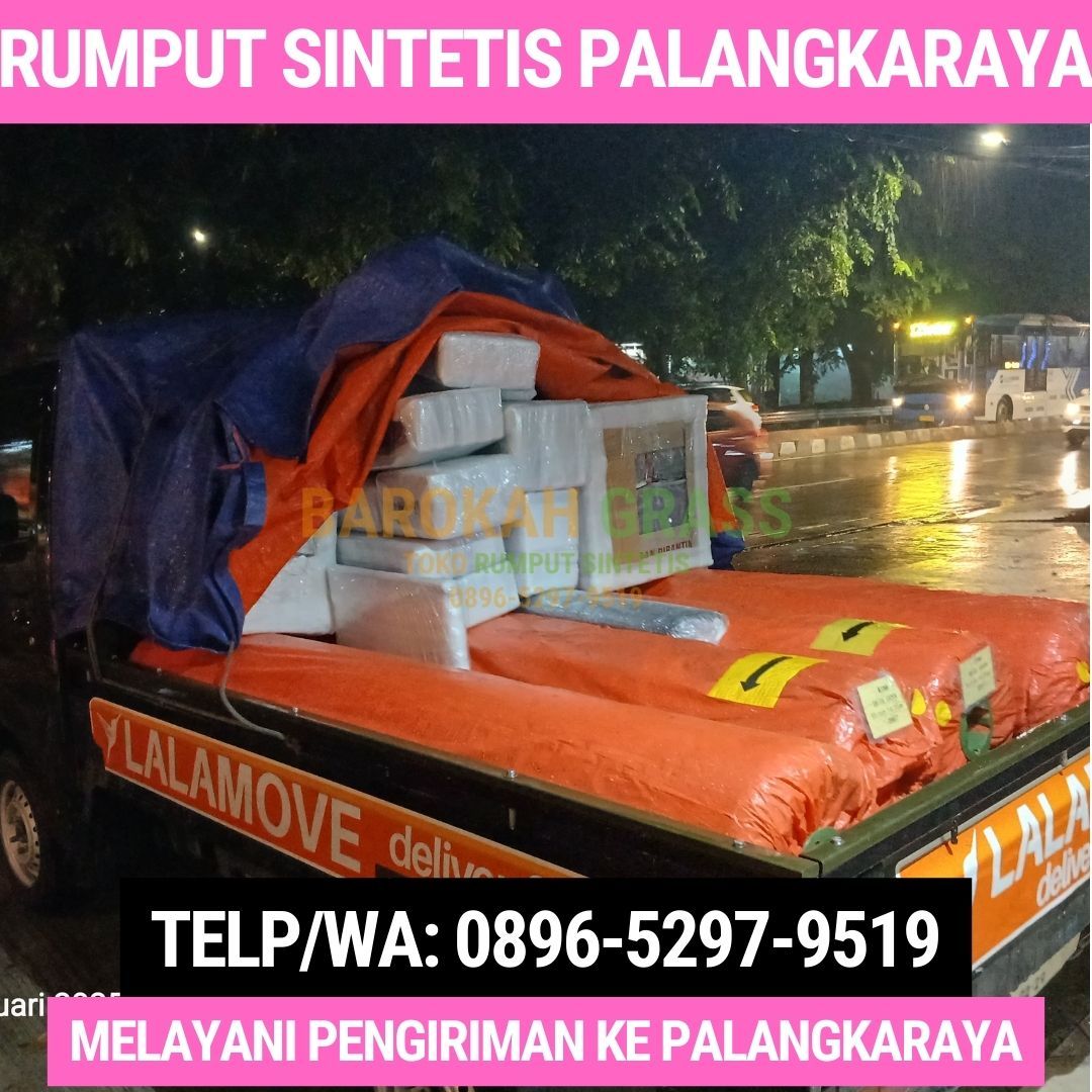 0896-5297-9519 (Bu Diana), Toko Karpet Rumput Melayani Palangka Raya Kapuas Murung