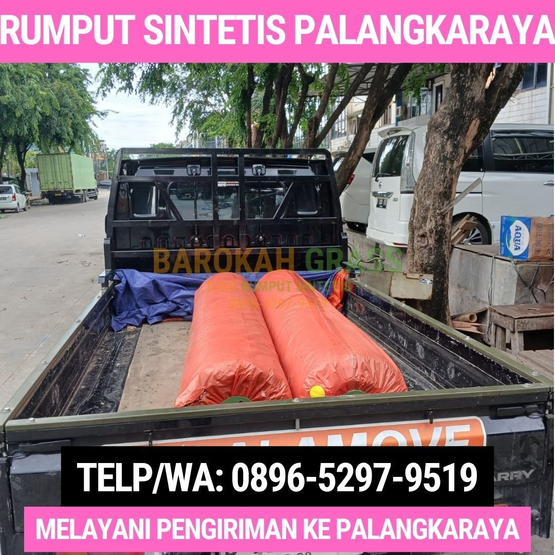 0896-5297-9519 (Bu Diana), Toko Rumput Sintetis Bisa Kirim Palangka Raya Kota Palangka Raya