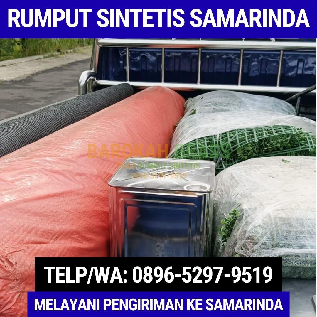 0896-5297-9519 (Bu Diana), Distributor Rumput Sintetis Bisa Kirim Balikpapan Pulau Derawan