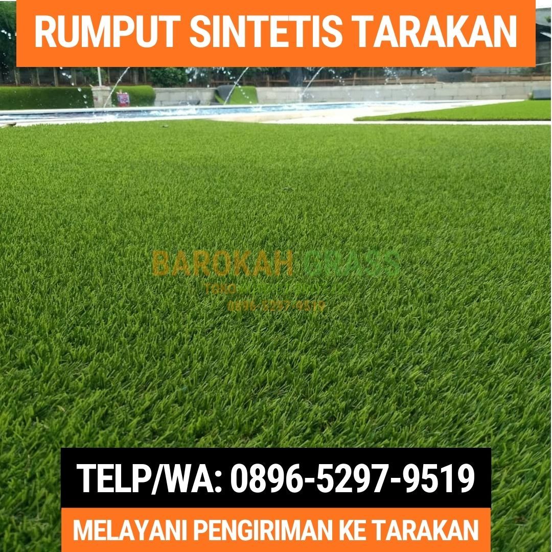 0896-5297-9519 (Bu Diana), Jual Rumput Sintetis Bisa Kirim Tarakan Malinau Selatan Hilir