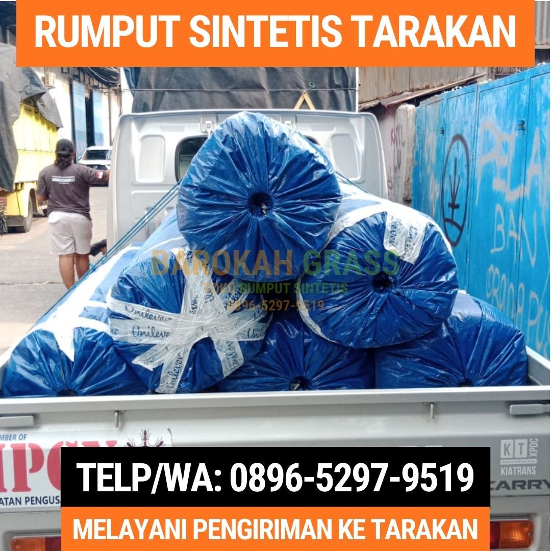 0896-5297-9519 (Bu Diana), Penjual Rumput Sintetis Bisa Kirim Tarakan Tarakan Tengah