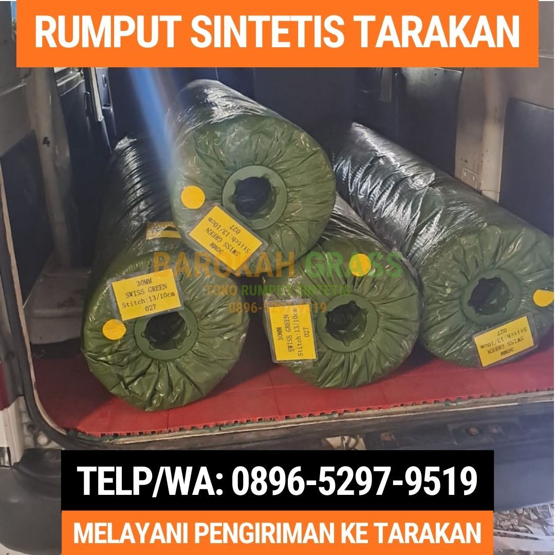 0896-5297-9519 (Bu Diana), Supplier Karpet Rumput Melayani Tarakan Kota Tarakan