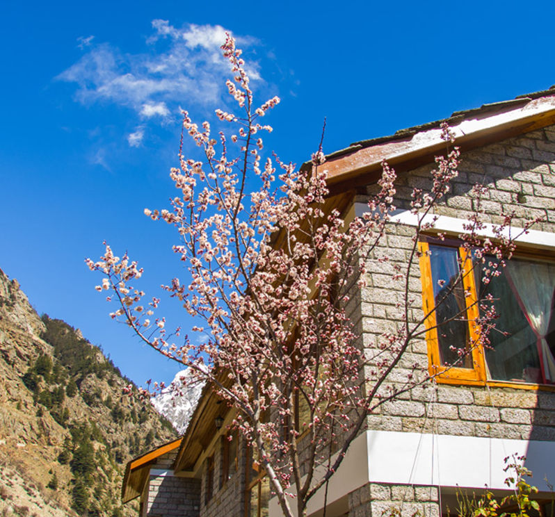 Kinnaur Winter Sojourn