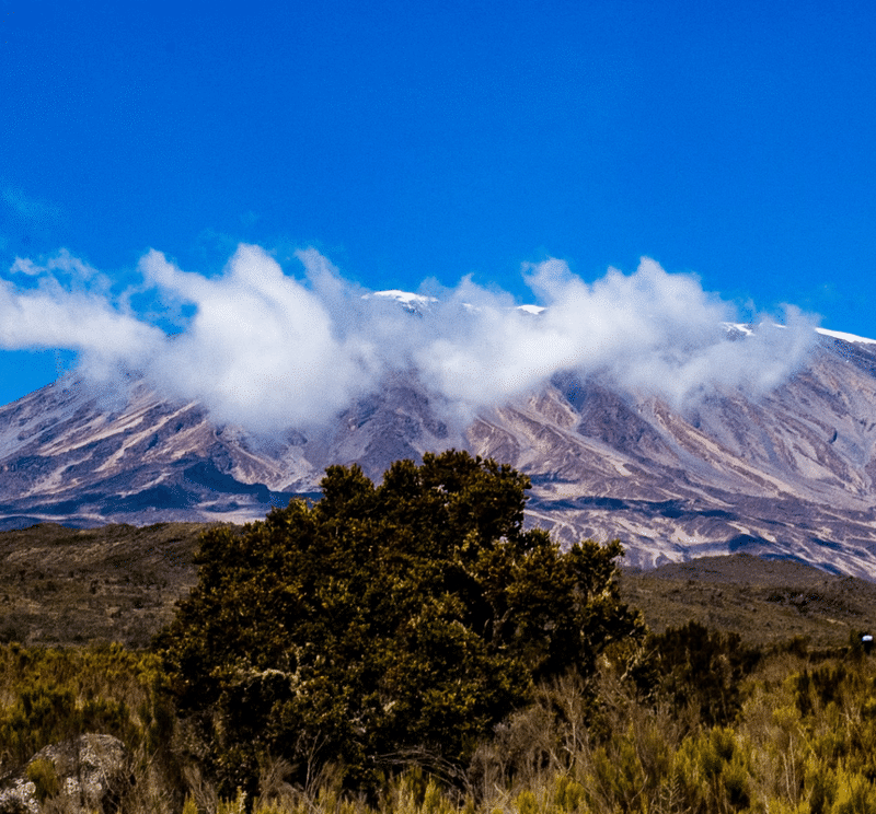 Kilimanjaro Northern Circuit