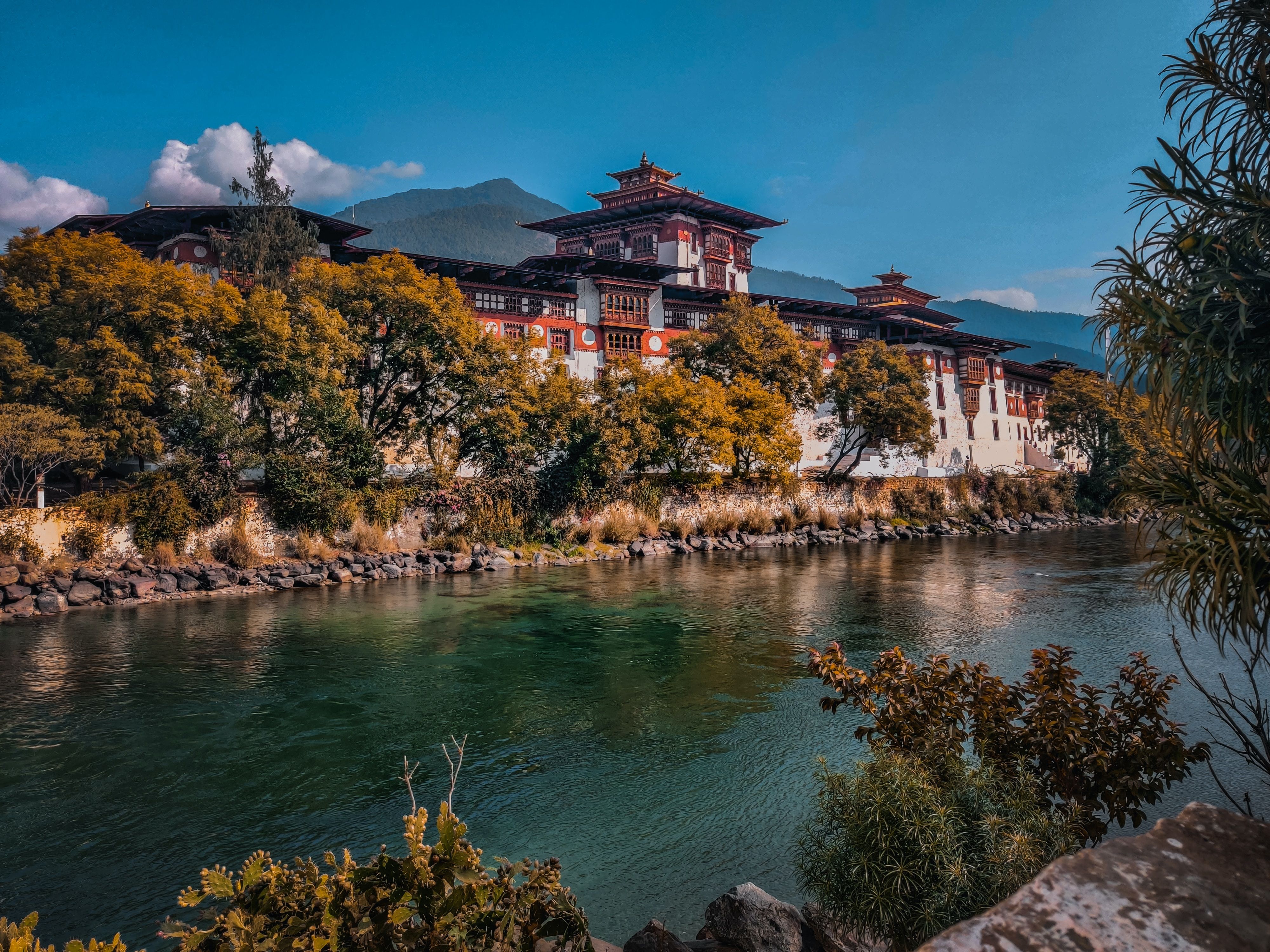  Punakha's Natural Marvels