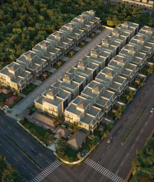 bird-view