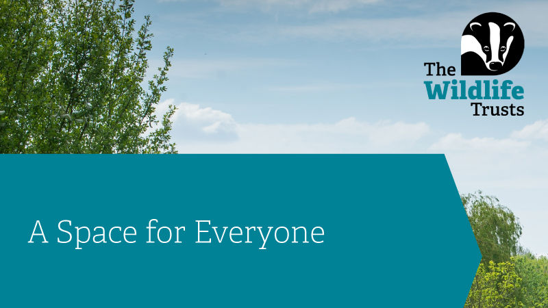 A thumbnail with the title 'A space for everyone' with The Wildlife Trust logo in the corner