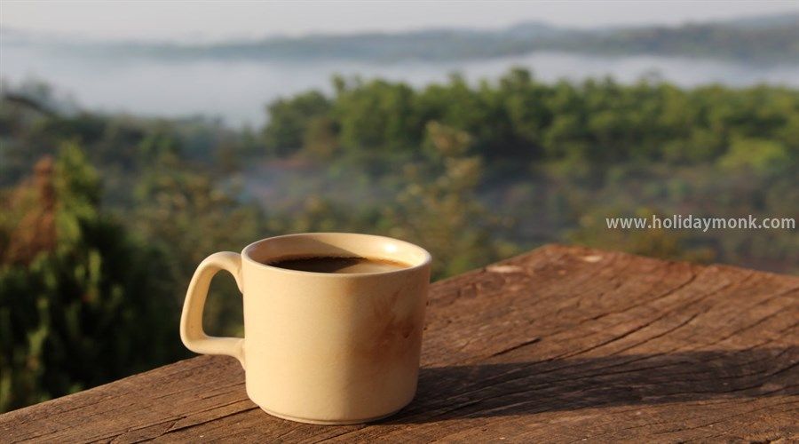 Sakleshpur-Coffee